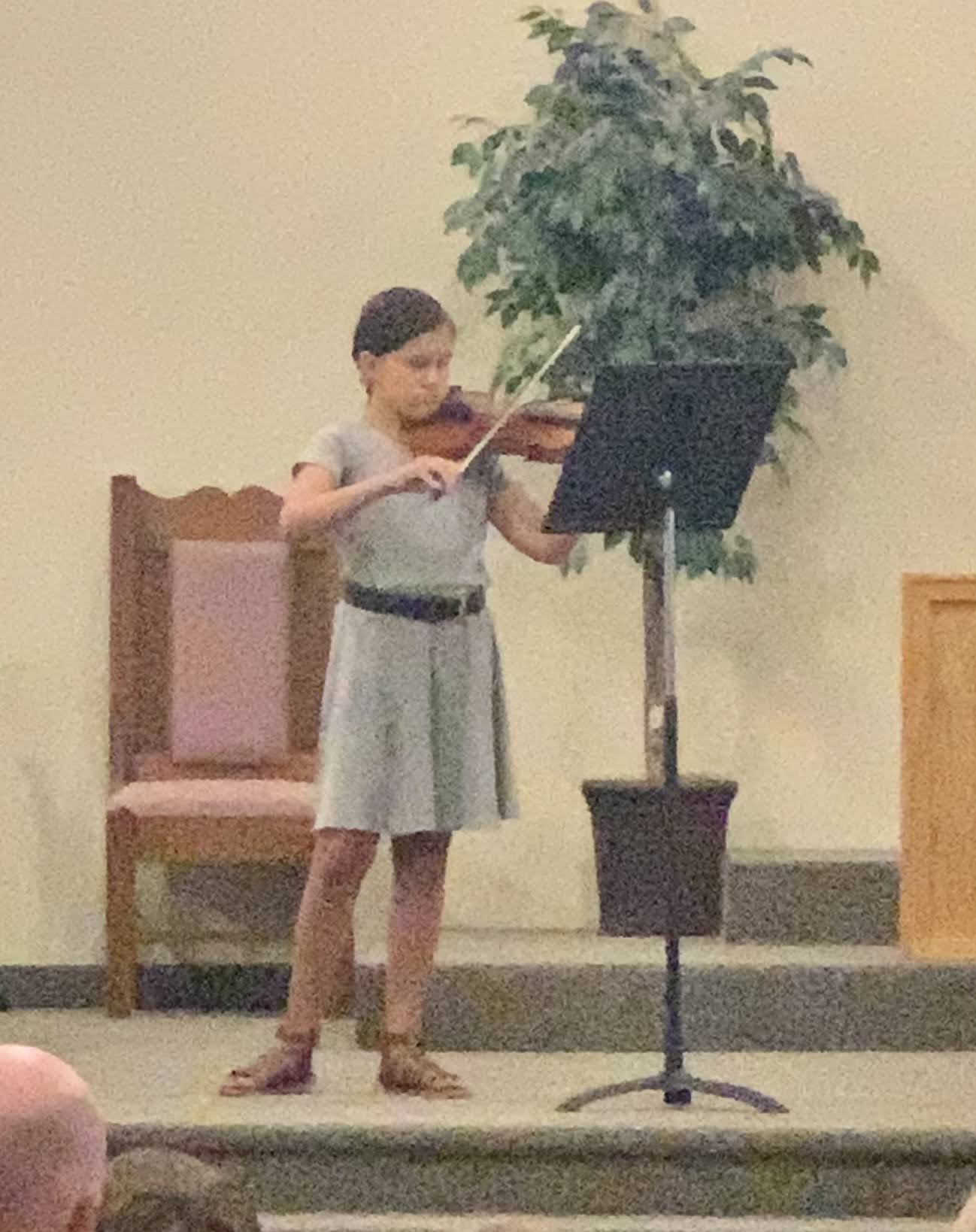 art and violin